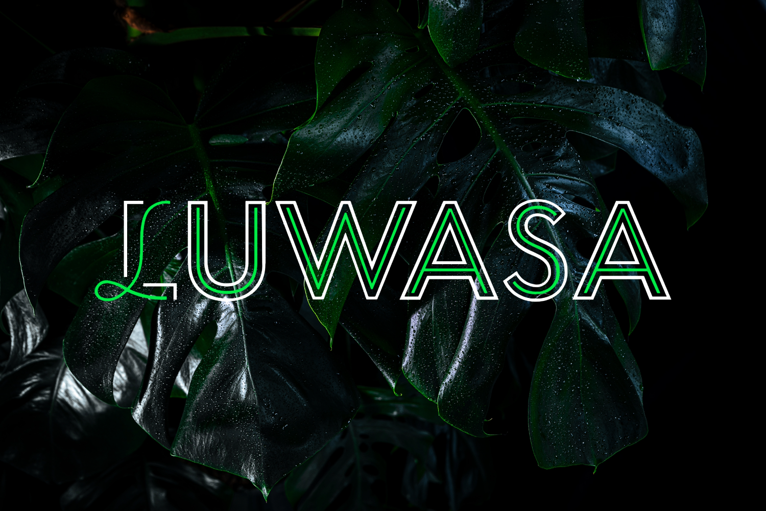 Der Einfluss von emotionaler und informativer Startseitenkommunikation auf die Kaufabsicht im Luwasa-Onlineshop