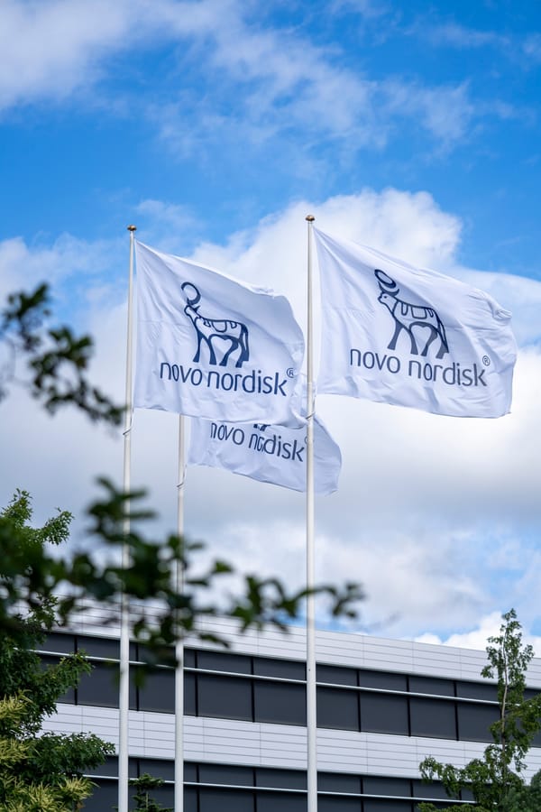 Financial Valuation of a Public Firm, Novo Nordisk A/S