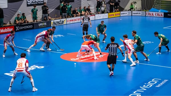 Drop-out im Breitensport (Fokus Teamsportarten)
