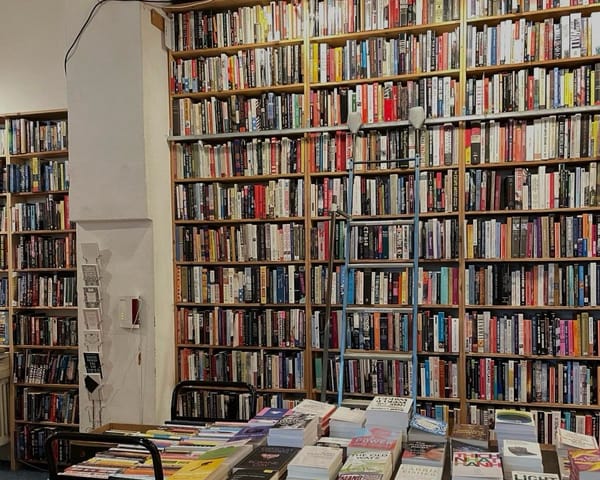 Equitable access: overcoming barriers in Swiss libraries to enhance social and economic sustainability