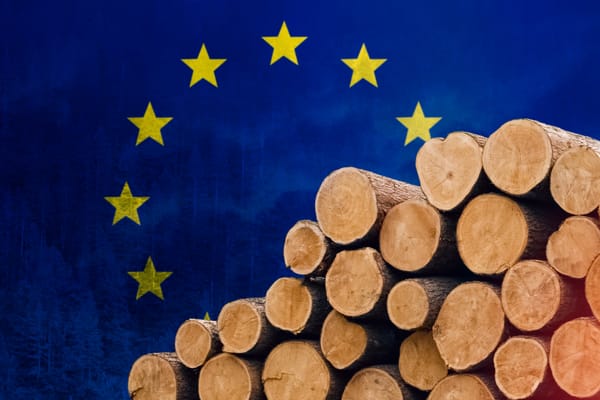 Verordnung trifft Realität:           Die EU-Entwaldungsverordnung und ihre Auswirkungen für Kakaobäuer:innen in Ghana