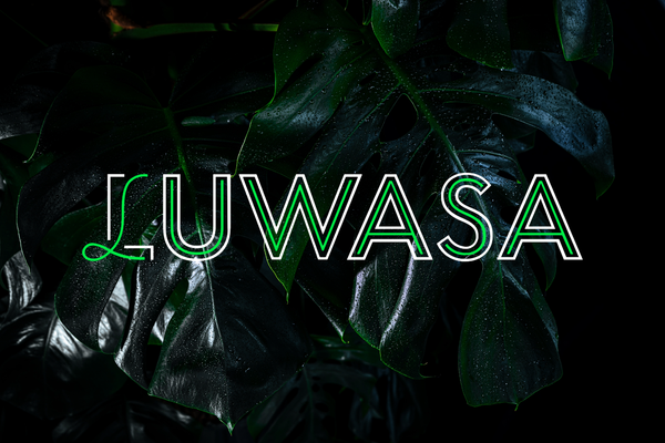 Der Einfluss von emotionaler und informativer Startseitenkommunikation auf die Kaufabsicht im Luwasa-Onlineshop