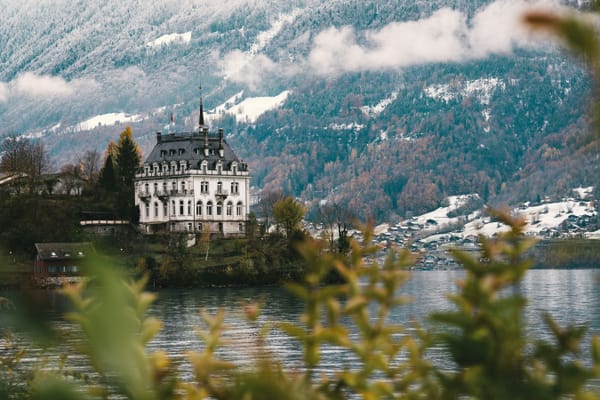 Digital marketing in Swiss real estate agencies - Effectiveness of digital marketing approaches in acquiring customers